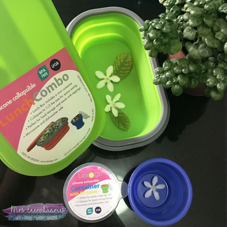 MrsEnero Approved : Lexngo Silicone Collapsible Lunch Combo