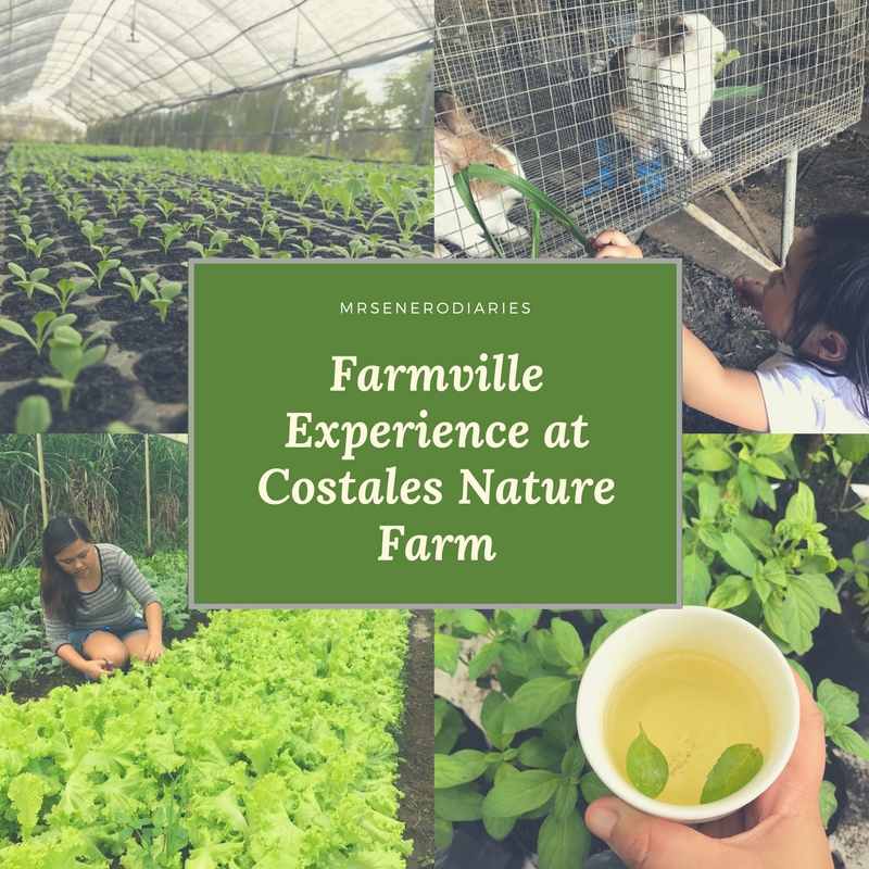 Farmville Experience at Costales Nature Farm