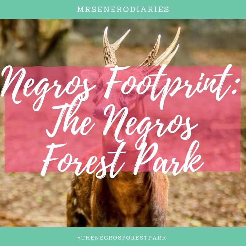 Negros Footprint: The Negros Forest Park