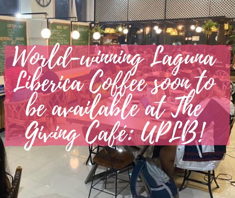 World-winning Laguna Liberica Coffee soon to be available at The Giving Café: UPLB!
